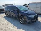 HONDA ODYSSEY EX photo