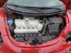 VOLKSWAGEN NEW BEETLE photo