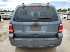 FORD ESCAPE XLS photo