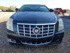 CADILLAC CTS PERFOR photo