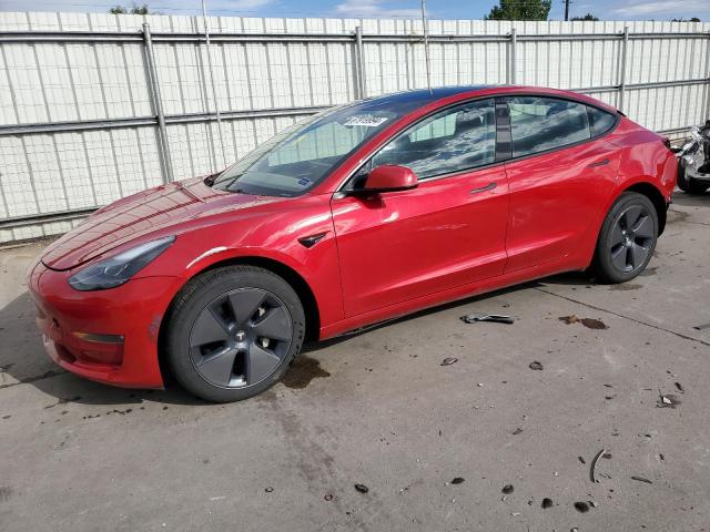 2023 TESLA MODEL 3 #2919458347