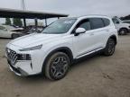 2023 HYUNDAI SANTA FE L - 5NMS44ALXPH518124