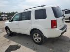 HONDA PILOT EX photo