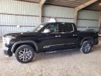 2022 TOYOTA TUNDRA CRE - 5TFMA5DB5NX001957