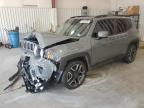 JEEP RENEGADE L photo