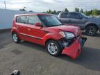 KIA SOUL + photo