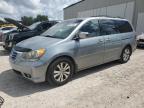 HONDA ODYSSEY EX photo