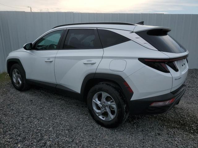 2023 HYUNDAI TUCSON SEL - 5NMJBCAE6PH217279