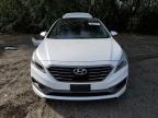 HYUNDAI SONATA SPO photo