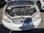 Lot #3024208881 2004 TOYOTA COROLLA CE