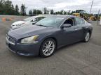 NISSAN MAXIMA S photo