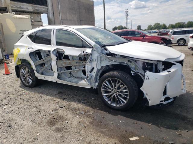 2024 LEXUS NX 350 LUX 2T2HGCEZ3RC035668