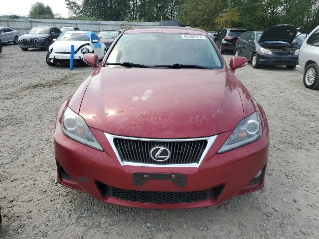 VIN JTHCF5C21D5062360 2013 Lexus IS, 250 no.5