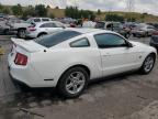 FORD MUSTANG photo