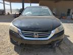 HONDA ACCORD SPO photo