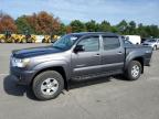 TOYOTA TACOMA DOU photo