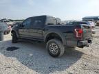 FORD F150 RAPTO photo