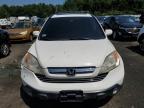 HONDA CR-V EXL photo