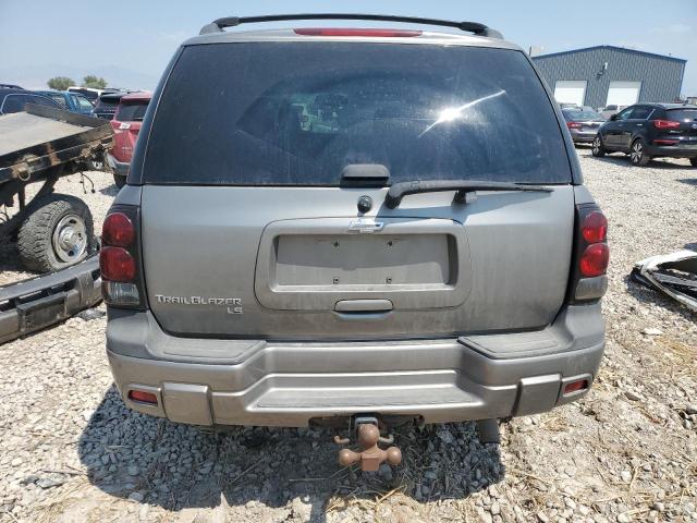 2007 CHEVROLET TRAILBLAZE 1GNDT13S872171581  65262364