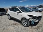 FORD ESCAPE SEL photo