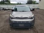 KIA SOUL photo