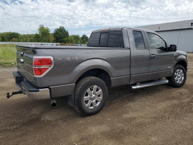 VIN 1FTFX1ET3EFC06531 2014 Ford F-150, Super Cab no.3