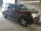 HONDA PILOT EXLN photo