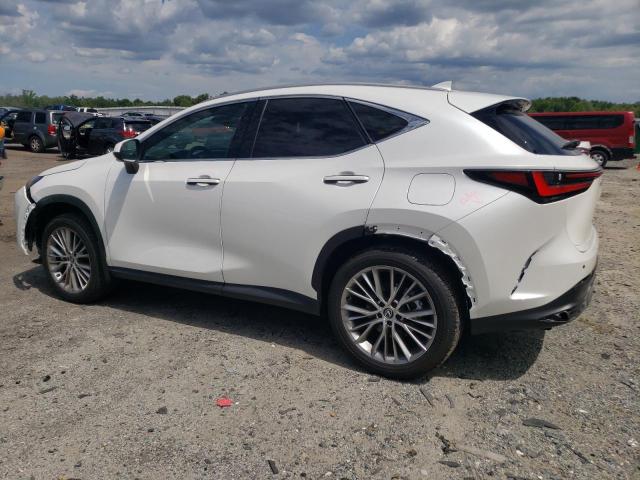 2024 LEXUS NX 350 LUX 2T2HGCEZ3RC035668