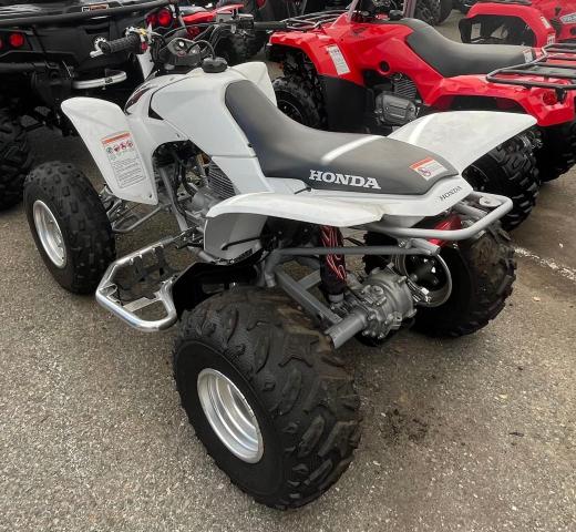 2008 HONDA TRX250 EX 1HFTE270284701911