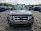 FORD ESCAPE XLT photo