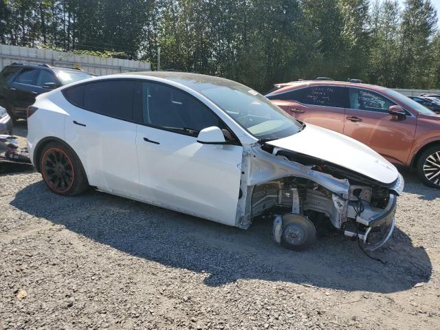 2024 TESLA MODEL Y - 7SAYGDEE0RF044656