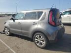 KIA SOUL + photo