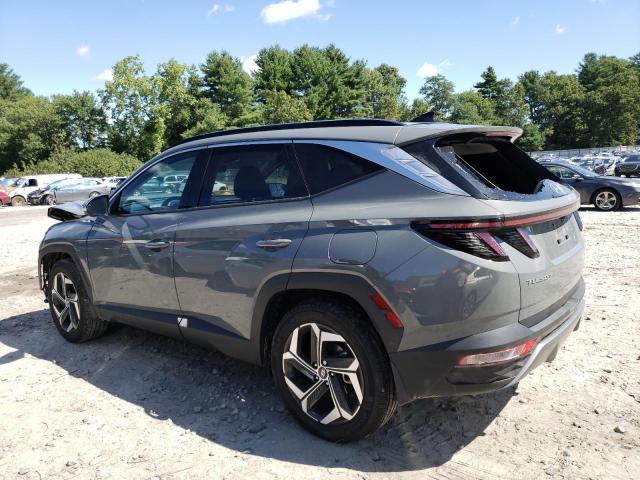 2024 HYUNDAI TUCSON LIM - 5NMJECDE7RH334181