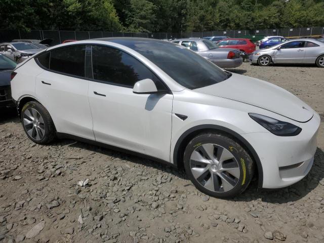 2021 TESLA MODEL Y - 5YJYGDEEXMF200224