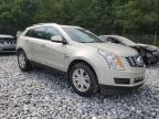 CADILLAC SRX LUXURY photo