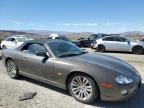 Lot #3021096175 2005 JAGUAR XK8