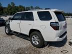 TOYOTA 4RUNNER SR photo