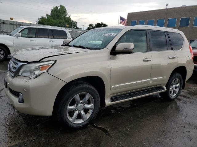 LEXUS GX 460 PRE