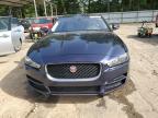 JAGUAR XE снимка