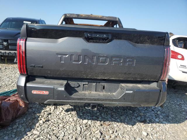 2023 TOYOTA TUNDRA CRE 5TFNA5DB6PX079767