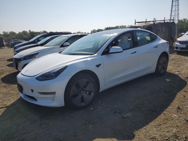 2023 TESLA MODEL 3 #2955331662