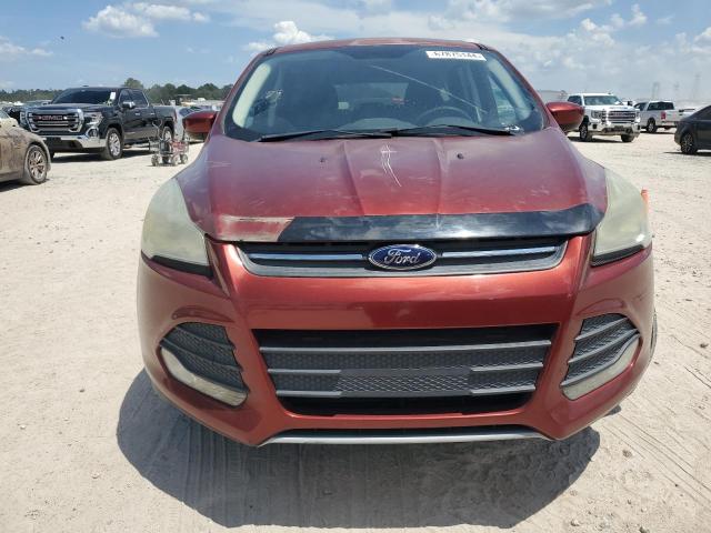 2014 FORD ESCAPE SE 1FMCU0GX5EUD92036  67875144