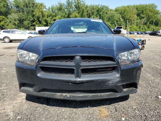 VIN 2C3CDXAT4EH358695 2014 Dodge Charger, Police no.5