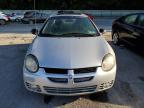 DODGE NEON SXT photo