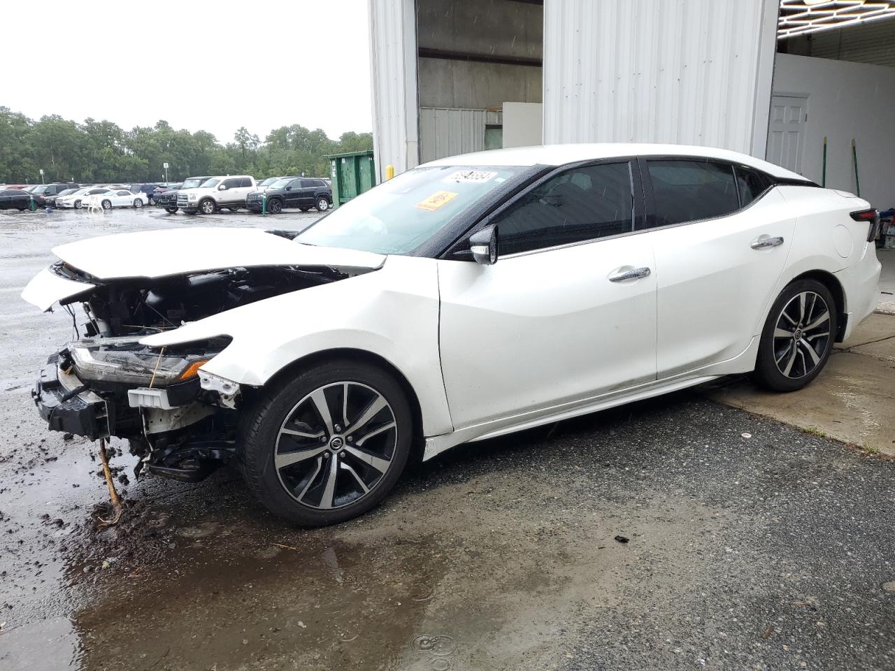 Lot #2935937805 2021 NISSAN MAXIMA SV