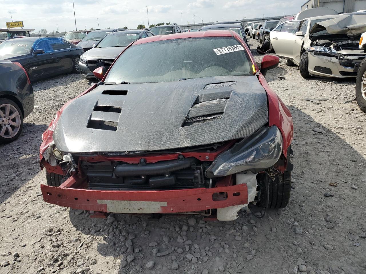 Global Auto Auctions