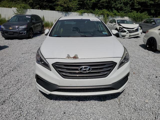 VIN 5NPE34AF5FH026810 2015 Hyundai Sonata, Sport no.5