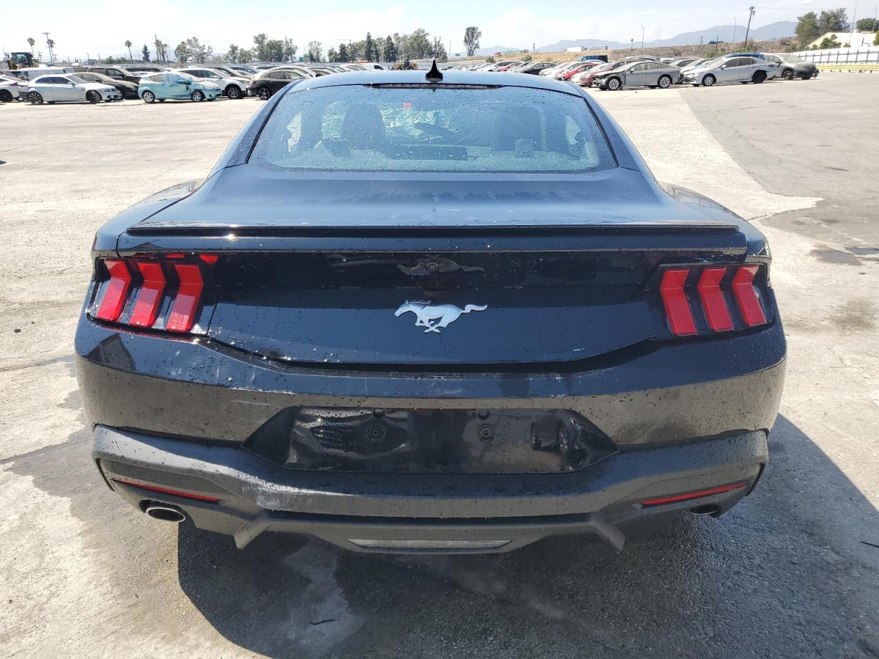 Lot #2786489262 2024 FORD MUSTANG