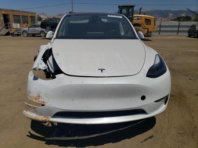 2023 TESLA MODEL Y - 7SAYGDEE5PF861196