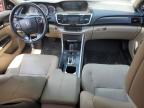 HONDA ACCORD EXL photo